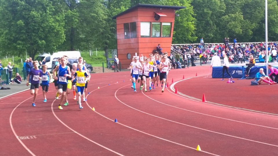 Jämsän Karnevaalit 2015 karn2015.jpg