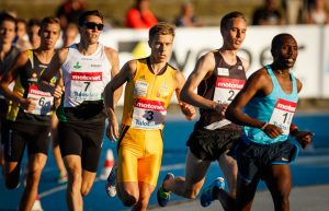 Frydrych kukisti Sirmaisin