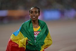 Dibaba palasi