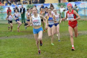 Peiposen katse jo ensi vuodessa