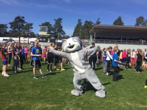 Aurinko helli Uudenmaan Hese-piirikisoja